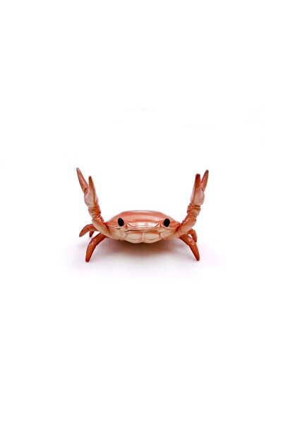 Choice3 Red Portable Bright Color Novelty Crab Design Pen Holder for Students...