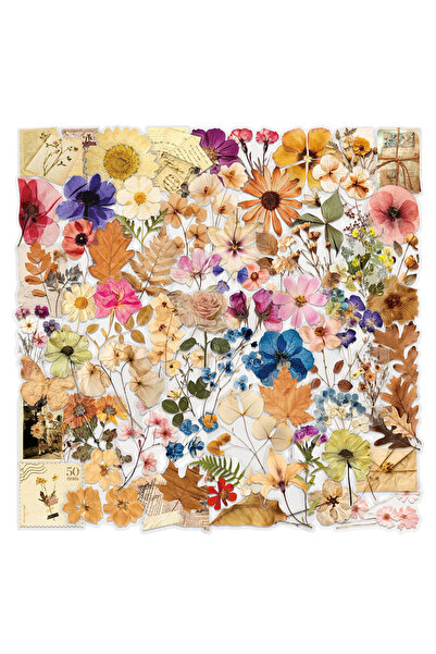 Choice 50 قطعة، 10/30/50/100 قطعة، ملصقات بتصميمات نباتية وزهرية ورسومات جراف...