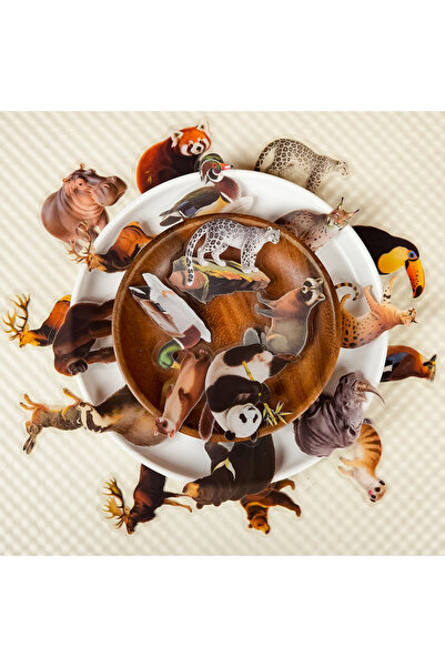 Choice 56PCS 56Pcs Realistic Forest Animal Clear PET Sticker HD Patterns for ...