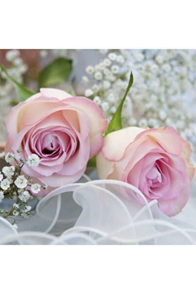 Ti Flair AMBIANCE ROMANTIQUE DESENLİ KAĞIT PEÇETE