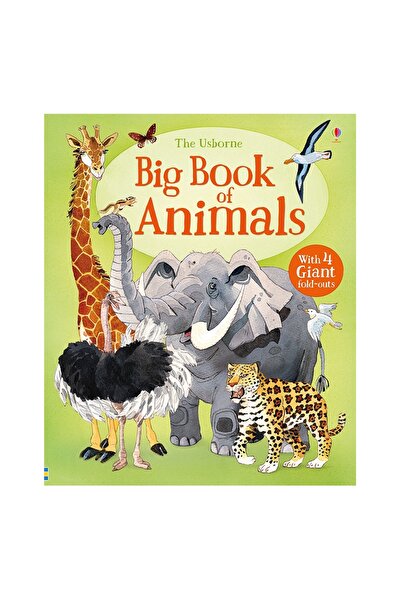 Usborne Big Book Of Animals