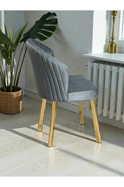 Buketim Mobilya Baby Face Kumaş Metal Gold Ayaklı Modern Yemek Odası Mutfak S...