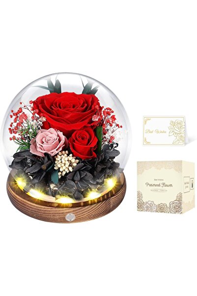 Generic ورود محفوظة في قبة زجاجية مع إضاءة LED