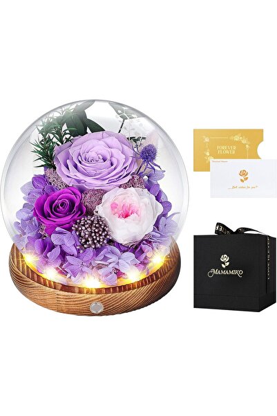 Generic ورود محفوظة في قبة زجاجية مع إضاءة LED