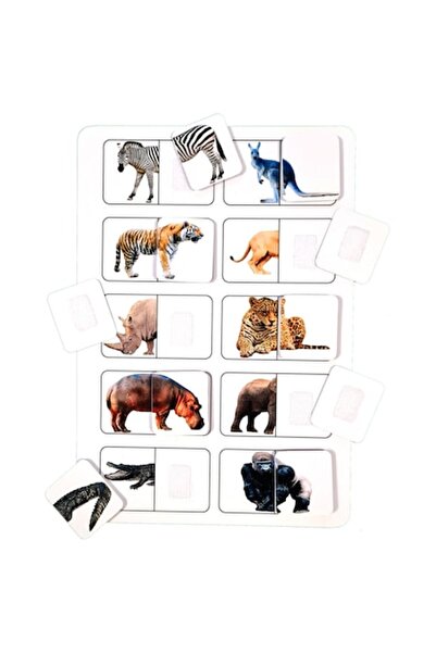 OEM Educational Board - Exotic Wild Animals
