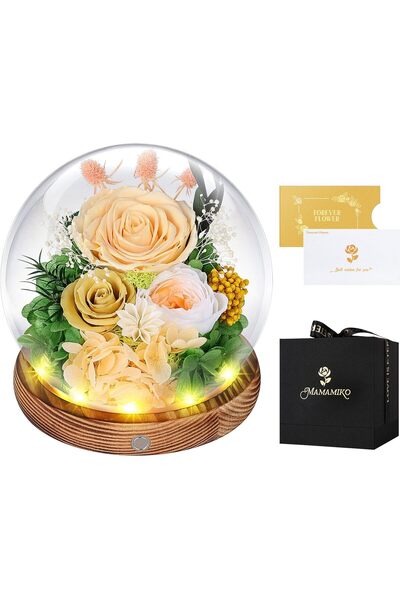 Generic Preserved Roses in Glass Dome with LED Light