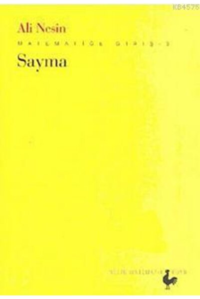 Nesin Yayınevi Sayma (Kombinasyon Hesapları); Matematiğe Giriş - 3