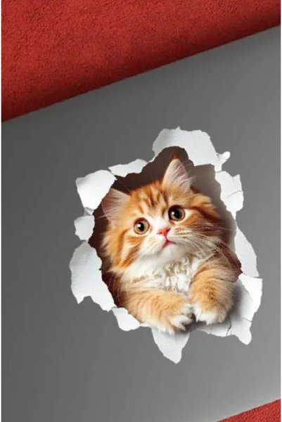 Sim Tasarım - Priz03 - Sarman Kedicik Kırık Duvar Yavru Kedi Dekoratif Priz Duvar Sticker
