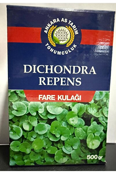 ANKARA AS TOHUMCULUK DİCHONDRA REPENS/FARE KULAĞI GÖLGE ÇİM TOHUM