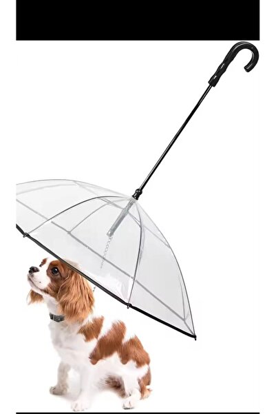 Zigver Küçük Evcil Hayvanlar için Tasmalı Köpek Şemsiyesi, Köpekler için Şems...