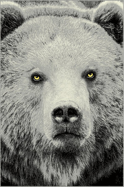 Talis Модерен килим Kolibri с мечка, 120x170 см,