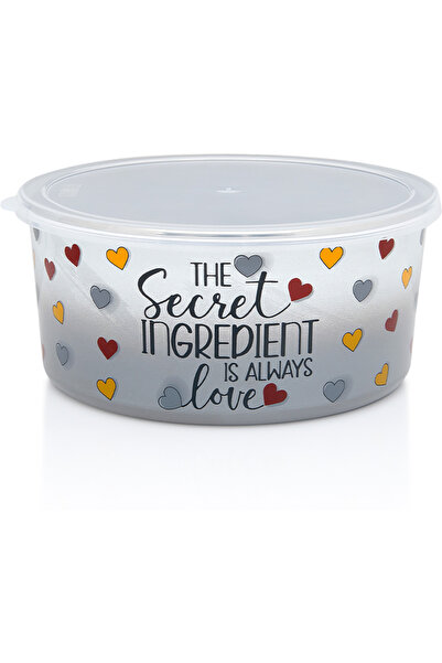 Metalac 2.6L Container with Lid Secret Ingredient