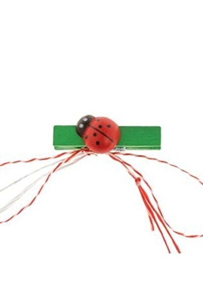 OEM Wooden Ladybug Martisor- 5 pcs