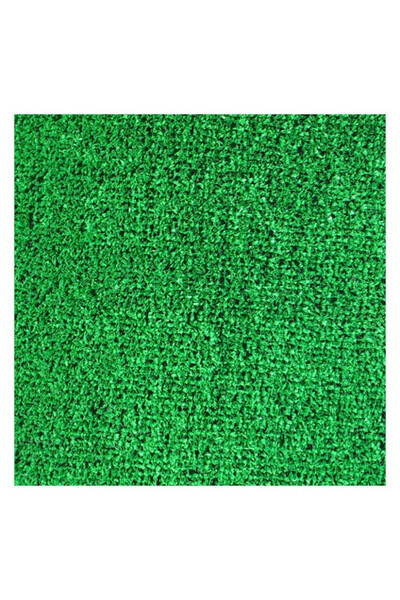Talis Artificial Grass Carpet, Lawn Type 200x300 cm