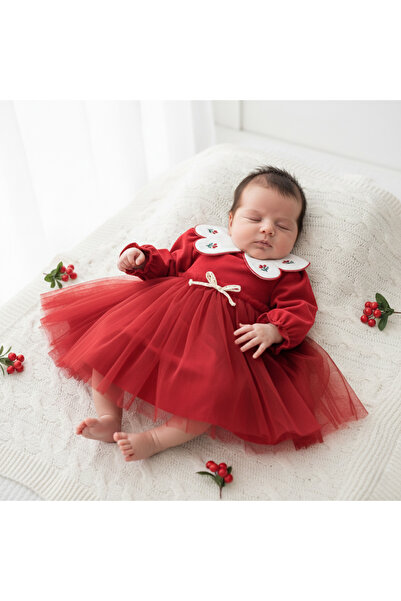 Coolimino ÇİÇEK YAKALI TÜLLÜ KIZ BEBEK ELBİSE