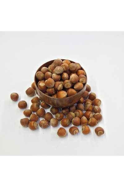 KABUKLU FINDIK 500 GR