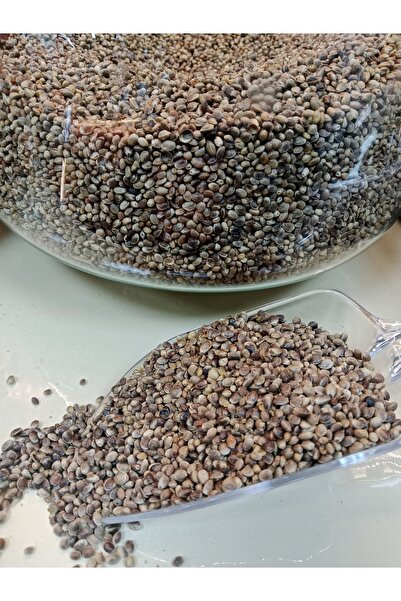 Antep Baharat Çedene tohumu