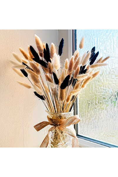 Dekora Çiçek باقة زهور جيلرُوس الطبيعية من عشب القطن المجفف، بتصميم ذيل الأرن...