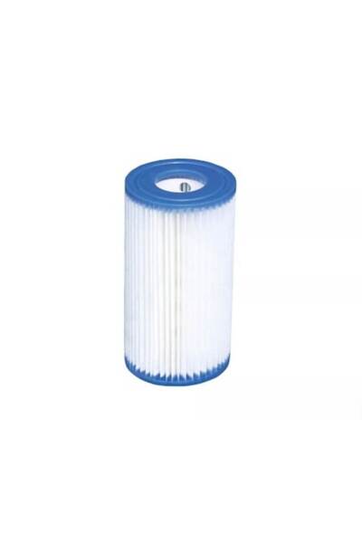 Intex Type A Pool Filter
