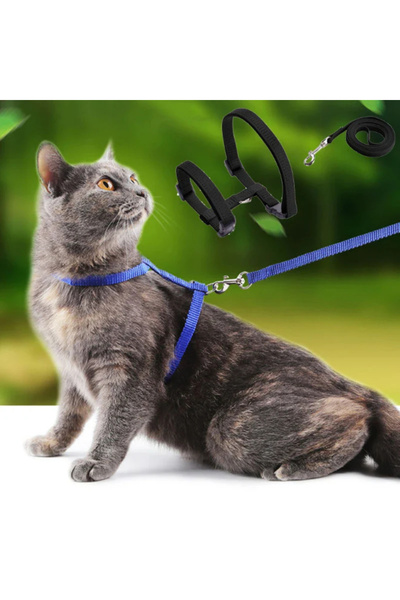 Pazarcan Cat Collars