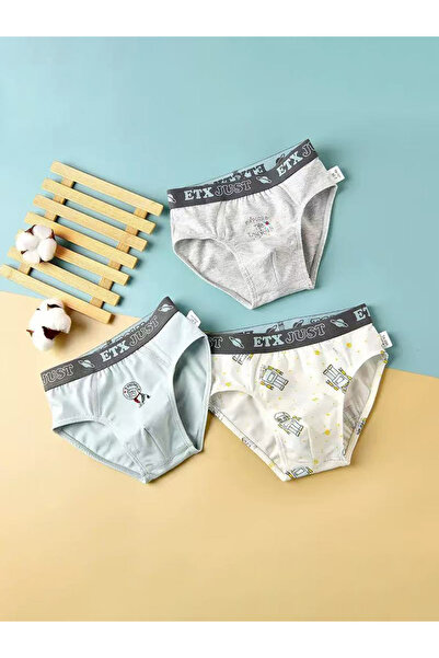 Styli Pack of 3 - Boys Printed Cotton Briefs