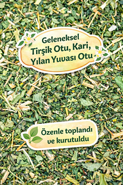 Diyet AVM TİRŞİK OTU – 100 GR (Kari / Yılan Yuvası Otu)