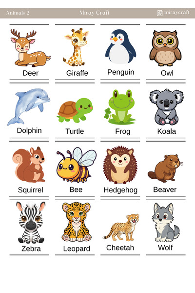 MirayDesign 1 Sheet of English Discovery with Stickers – Educational Sticker ...