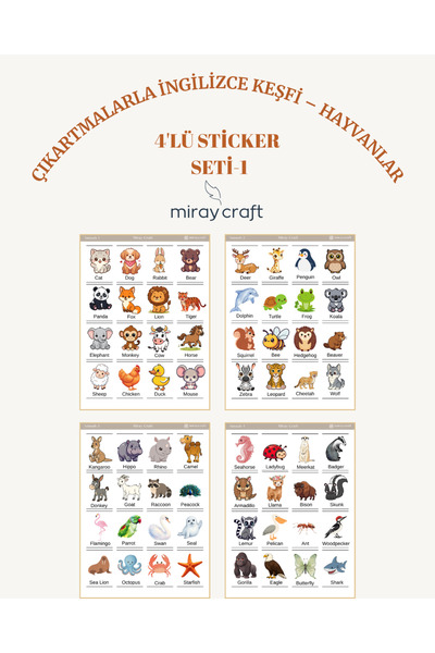 MirayDesign 4 Sheets of English Discovery Stickers – Educational Sticker Set ...
