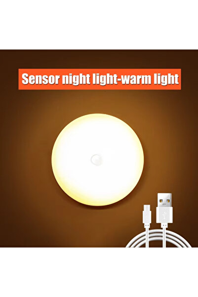 Choice Warm Light 1PC Motion Sensor Step Light, USB Rechargeable Wireless LED...