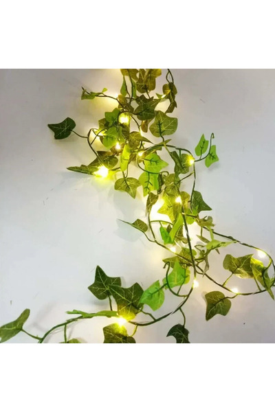 Choice سلسلة إضاءة LED بطول 5 أمتار، 50 مصباح LED، تعمل بالبطارية، 5 ألوان، ع...