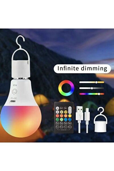 Choice مصباح LED قابل للشحن بقوة 2 واط مع جهاز تحكم عن بعد، مصابيح تعمل بالبط...