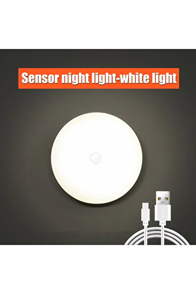 Choice5 White Light 1PC Motion Sensor Step Light, USB Rechargeable Wireless L...