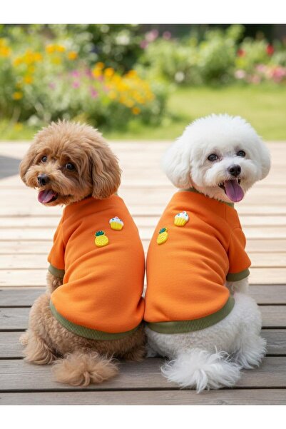 Kemique سويت شيرت من الصوف للكلاب بنكهة الآيس كريم والأناناس والبرتقال والكاكي