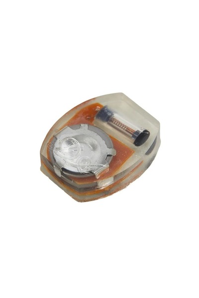 Choice 10 قطع من مصابيح LED مضيئة للأحذية، زينة أحذية، مصابيح صغيرة متوهجة ته...