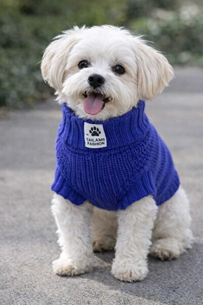 faramiss fashion SELANİK ÖRGÜ LACİVERT TEK RENK KÖPEK KIYAFETİ KÖPEK KAZAĞI K...