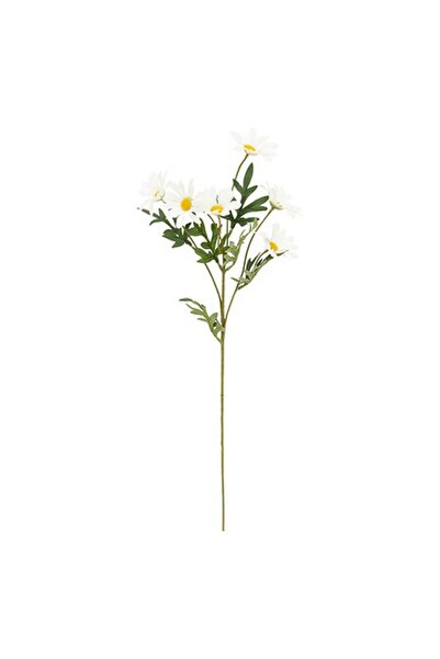 NN Margarete decorative, tulpina 60 cm, Multicolor