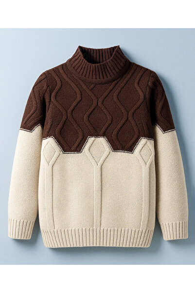 Pine kids Knit Full Sleeves Pullover Sweater with Color Block & Cable Knit De...