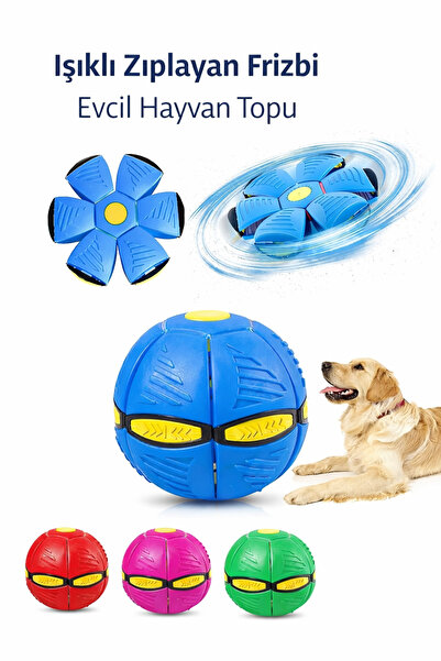 Yenilig Işıklı Zıplayan Frizbi Evcil Hayvan Topu | Katlanabilir, LED Işıklı K...