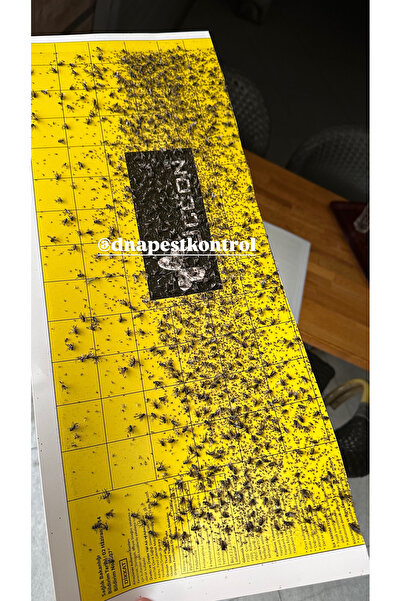 ucon EFT TRAP, sinek tutucu yapışkan (Sinek Cihazı için yapışkan plaka), sine...