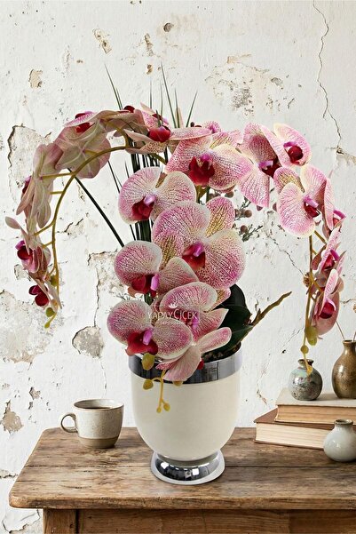 Yapay Çiçek Deposu Metal Beyaz-Gümüş Saksıda Lüx 3'lü Orkide 50 cm Krem-Fuşya