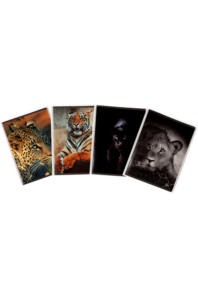 Other A5 notebook, 48 sheets, 80gsm, 300gsm cardboard cover, animals design -...