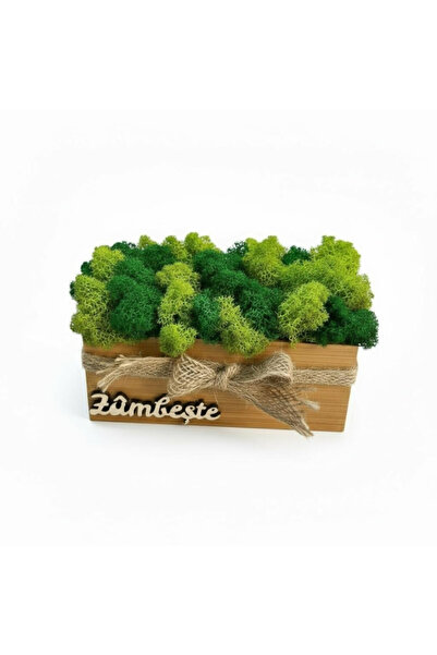 Eventissimi Decoration with stabilized natural lichens and motivational messa...