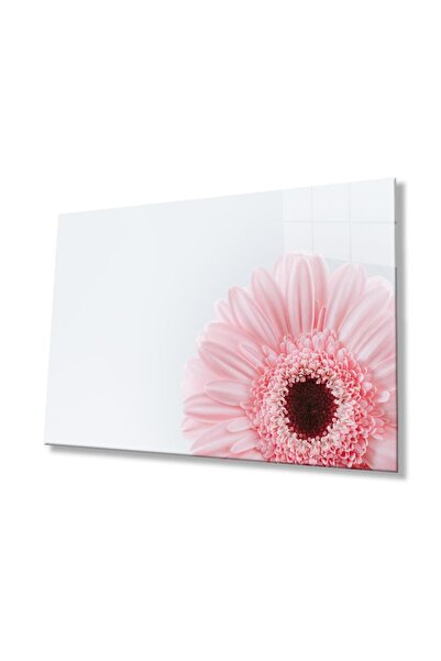 idealizbiz Flower Illustration Glass Art 4mm Durable Tempered Glass, Flower I...