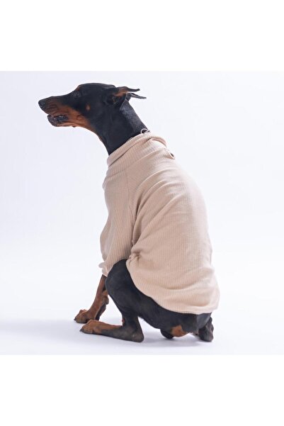 Pawstar Bej Teddywood Orta-Büyük Irk için Ayıcık Nakışlı Esnek Sıcak Tutan Kö...