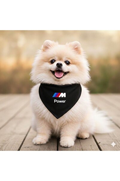 PetiliDünya Mix Köpek Scarf Cat Scarf (2-15 kg)