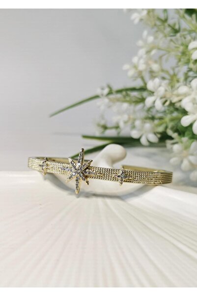 Halley Concept Star-shaped zircon stone gold-tone stainless steel bangle