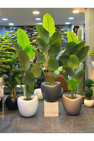 Adayapaycicek YIRTIK YAPRAKLI STARLİCE 200 CM 12 YAPRAK