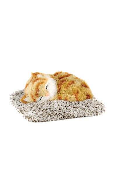 Prlk toys Minderde Uyuyan Gerçekçi Kedi küçük boy