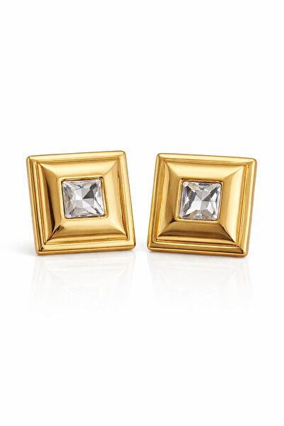 Vi store Steel Square Stone Earrings