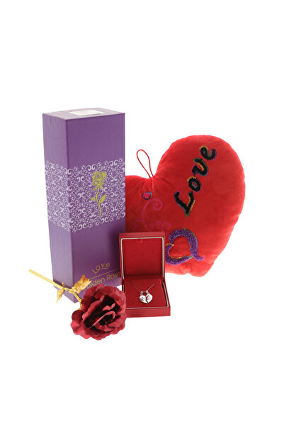 GiftExpress Love Gift Set with Rose, Silver Necklace and Heart Pillow – Roman...